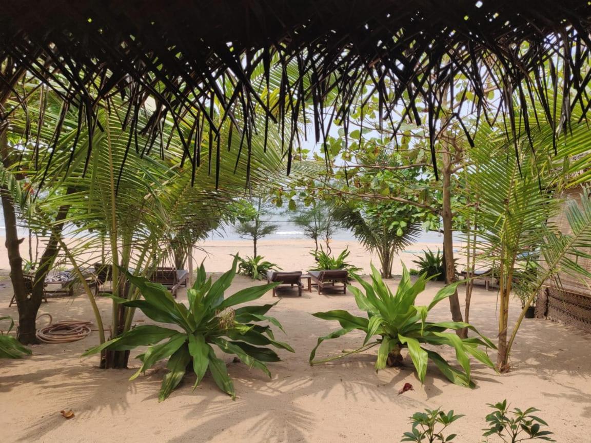 Mariposa Beach Grove Agonda Ngoại thất bức ảnh